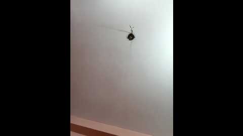 megla879 @ stripchat on 20251015