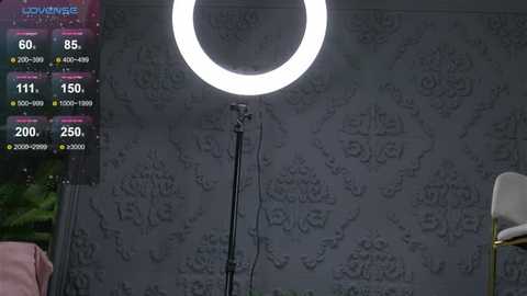 anaisleblanc @ stripchat on 20251016