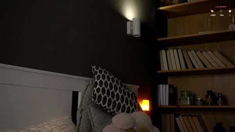 darylbarks @ stripchat on 20251016