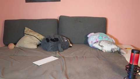 katusha006 @ stripchat on 20251016