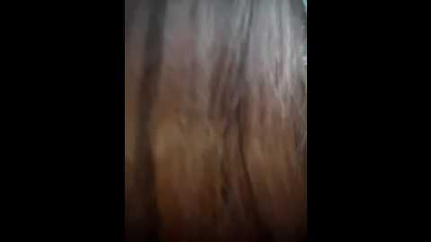 littleqiu @ stripchat on 20251016