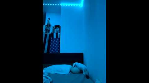 mexicaim @ stripchat on 20251016