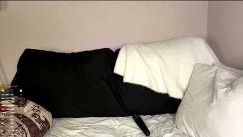 petulagunton @ stripchat on 20251016