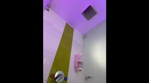 zendaa_ @ stripchat on 20251016