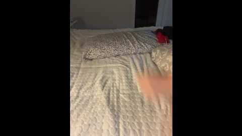 adriana_xxx @ stripchat on 20251017