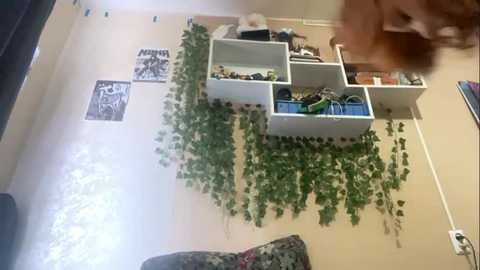 anitavanruiten @ stripchat on 20251017