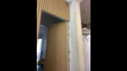 clarachanelricek @ stripchat on 20251017