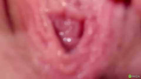 courtney_luv @ stripchat on 20251017