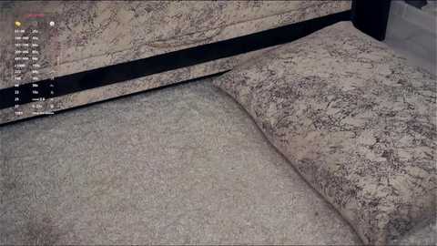 dionpefferman @ stripchat on 20251017