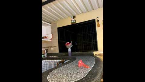 liahouses @ stripchat on 20251017