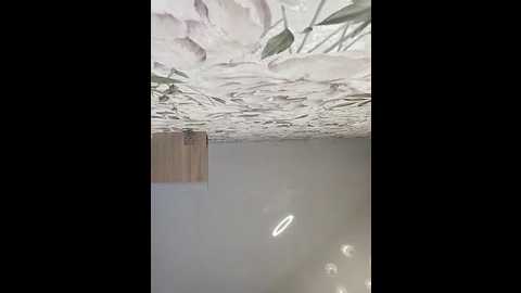 lola_hale @ stripchat on 20251017