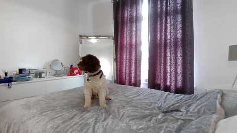 tanyataylor45 @ stripchat on 20251017