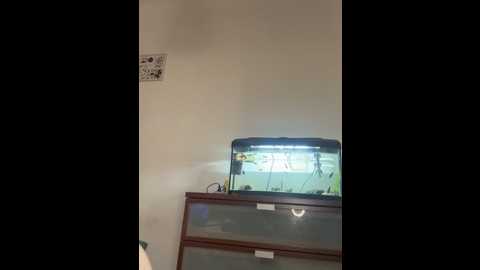 artur_anna @ stripchat on 20251018