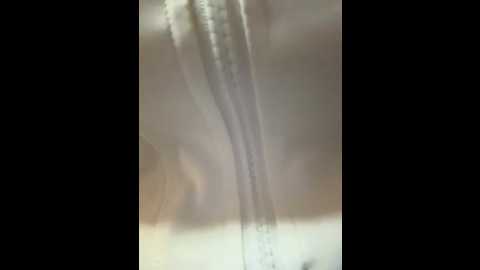 asian_asami @ stripchat on 20251018