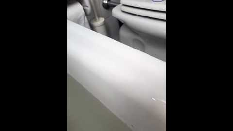 dealylith @ stripchat on 20251018