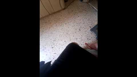 misskelly77 @ stripchat on 20251018