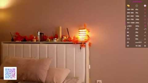 night_mary @ stripchat on 20251018