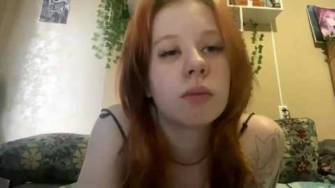 anitavanruiten @ stripchat on 20251019