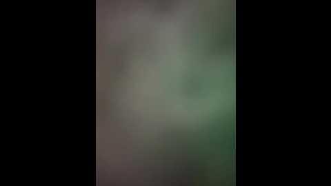 bambi_lu @ stripchat on 20251019