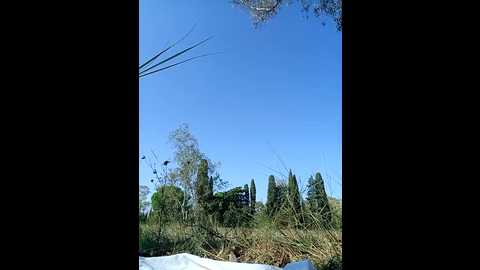 dolcehelena993 @ stripchat on 20251019