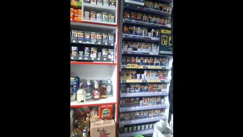 fluturas2 @ stripchat on 20251019