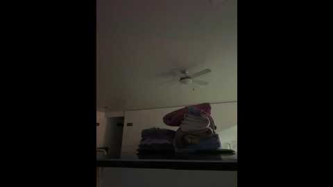 gaby_herrera @ stripchat on 20251019