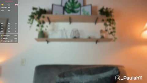 paulah_x @ stripchat on 20251019