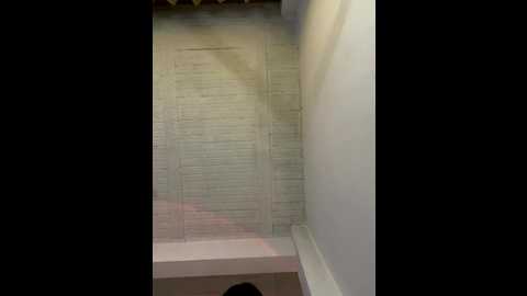 aly_golden_ @ stripchat on 20251020