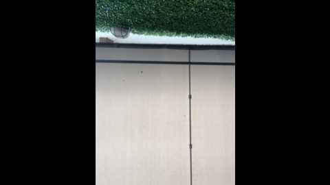 sweetiesinxxx @ stripchat on 20251020