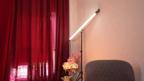 alisalore @ stripchat on 20251021