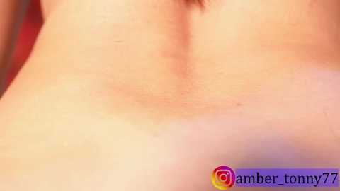 amber_tonny77 @ stripchat on 20251021