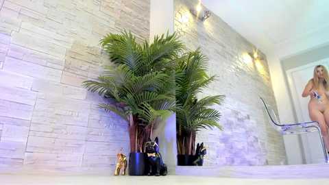 angelinsinn @ stripchat on 20251021