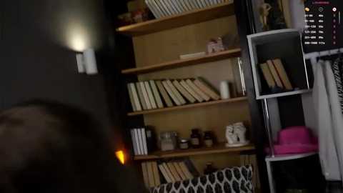 darylbarks @ stripchat on 20251021