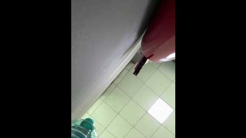 eveangelll @ stripchat on 20251021