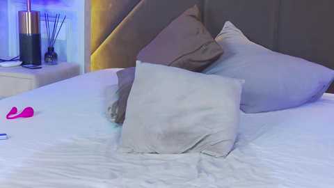 evelyn_neal @ stripchat on 20251021