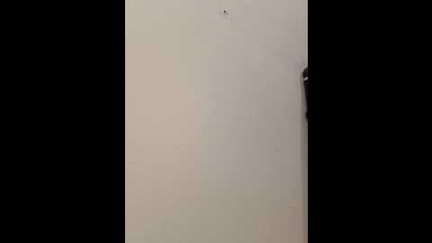 hot_modal @ stripchat on 20251021