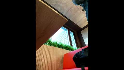 pumashyxd @ stripchat on 20251021