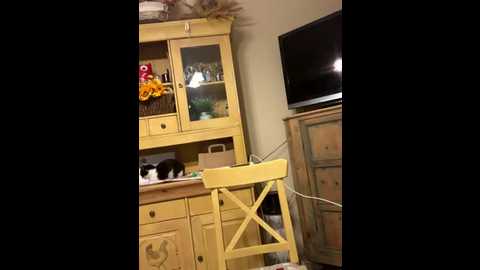 sexysegretaria1 @ stripchat on 20251021