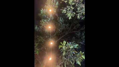 aurora_coldd @ stripchat on 20251022