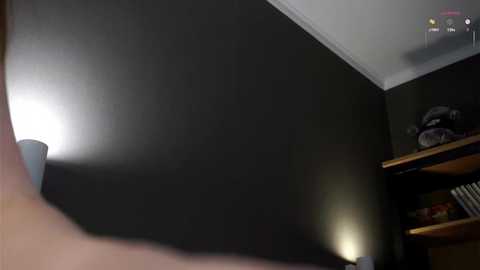 darylbarks @ stripchat on 20251022