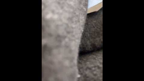 game_yoyo @ stripchat on 20251022