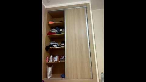 lara_arab @ stripchat on 20251022