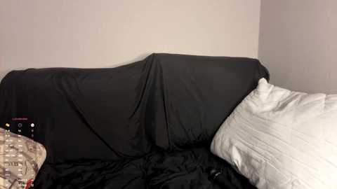 petulagunton @ stripchat on 20251022