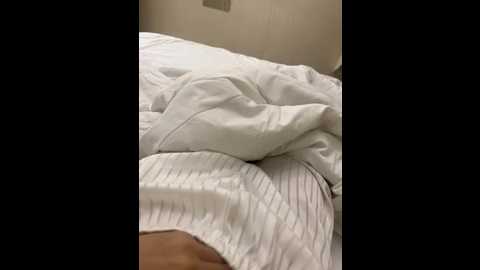 rx_5200 @ stripchat on 20251022