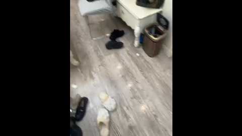 rx_5200 @ stripchat on 20251022