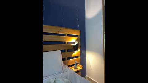 stefania_lerner @ stripchat on 20251022