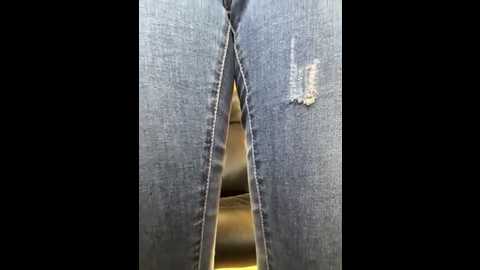 didihairypussy @ stripchat on 20251023