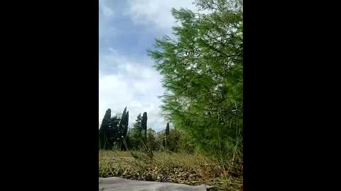 dolcehelena993 @ stripchat on 20251023