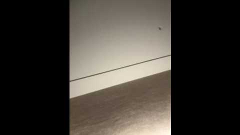 ellirose @ stripchat on 20251023