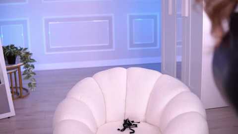 evazane @ stripchat on 20251023